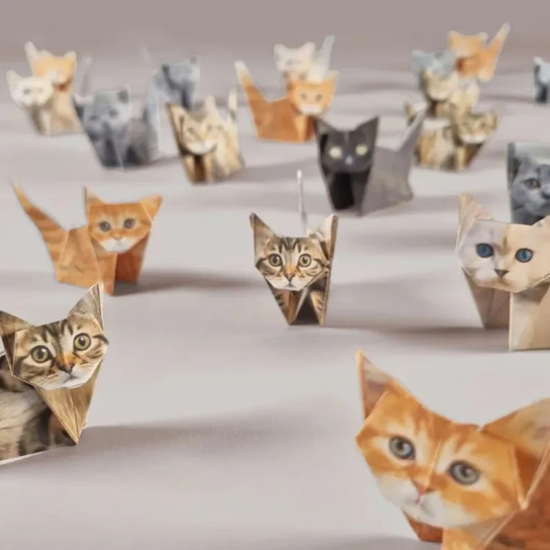 Creative DIY Paper Cats 50 She - Dinosaur And Craft ulasan dan harga