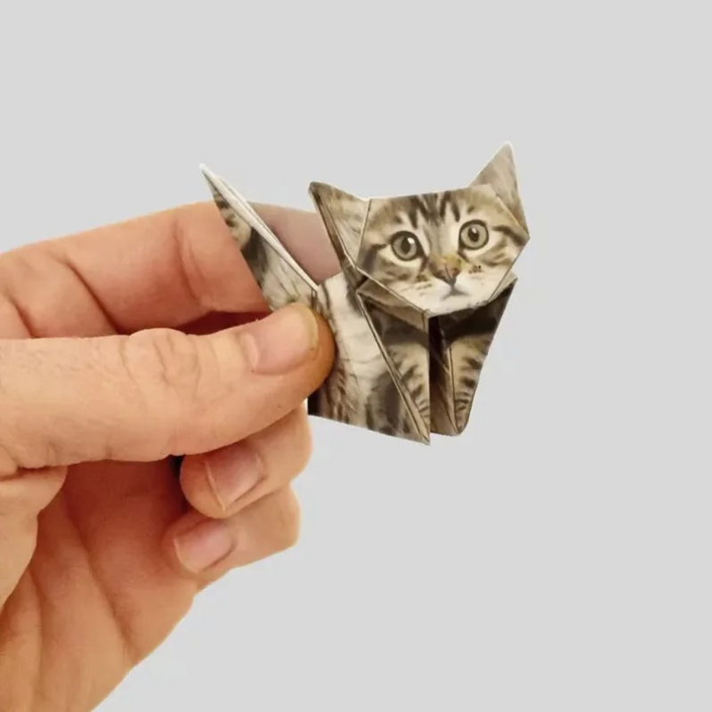Creative DIY Paper Cats 50 She - Dinosaur And Craft ulasan dan harga