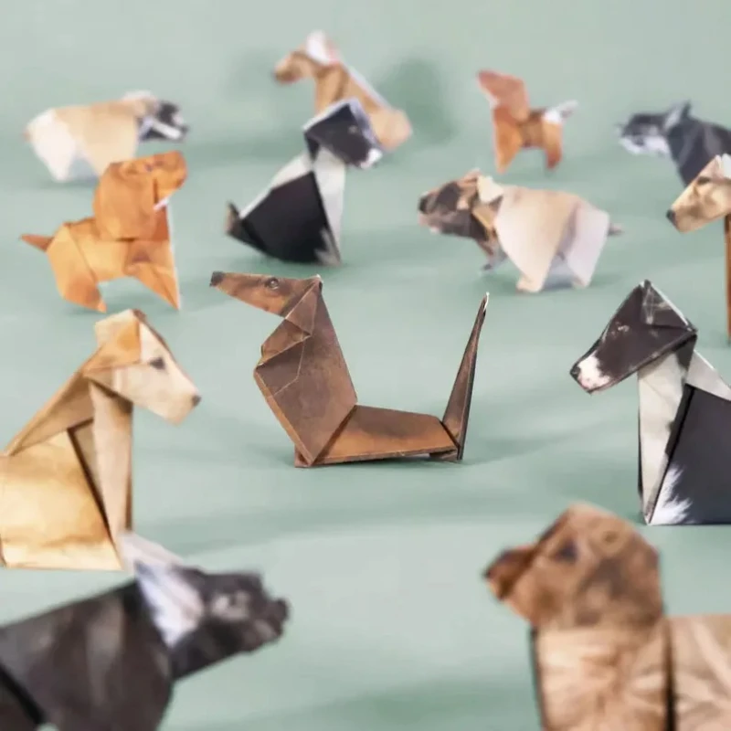 Creative DIY Paper Cats 50 She - Dinosaur And Craft ulasan dan harga