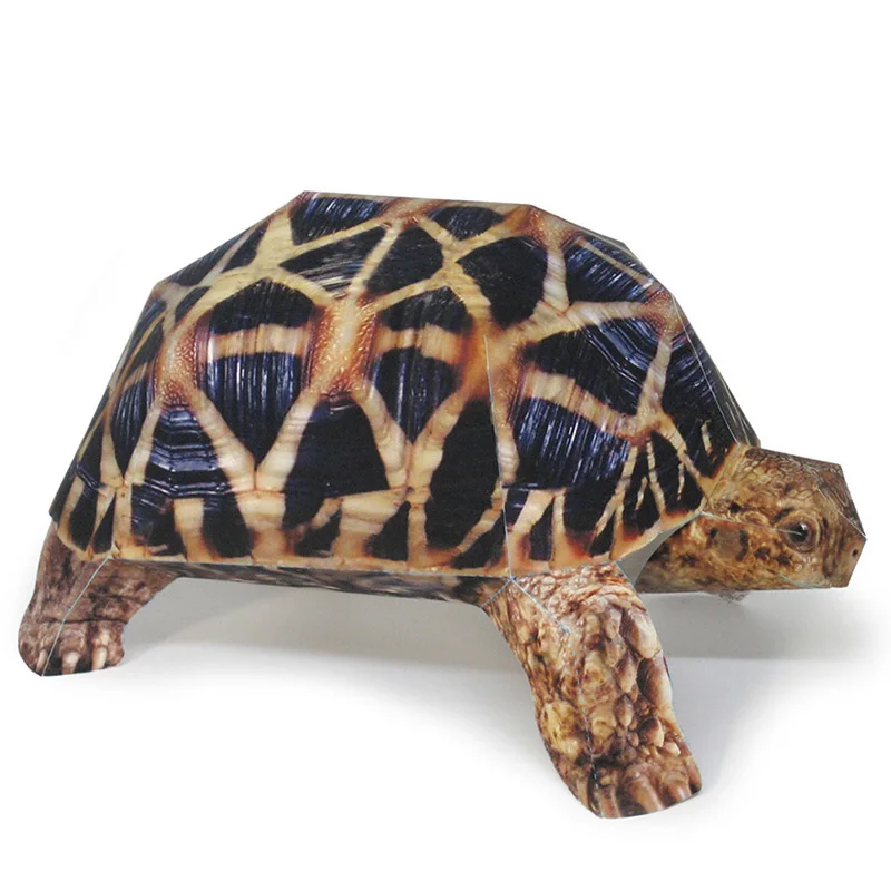 Indian Star Tortoise Paper Mod - Art Craft Center ulasan dan harga