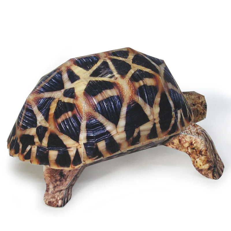 Indian Star Tortoise Paper Mod - Art Craft Center ulasan dan harga