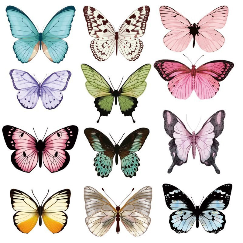 12pcs 3D Butterfly Wall Sticke - Art Craft Halloween ulasan dan harga
