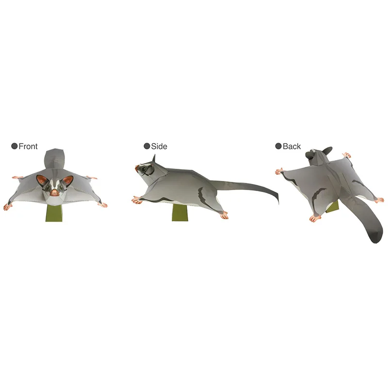 Sugar Glider Flying Mouse Hand - Art Craft Center ulasan dan harga